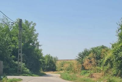 Teren de 924 mp, în Dridu - 3