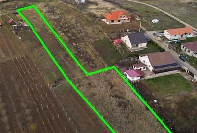 RECO . Teren intravilan Saldabagiu de munte . - 4