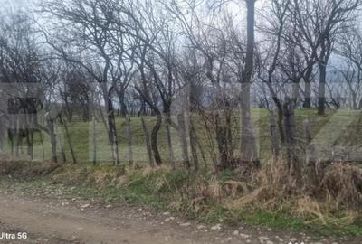 Teren în Schiulești - 16