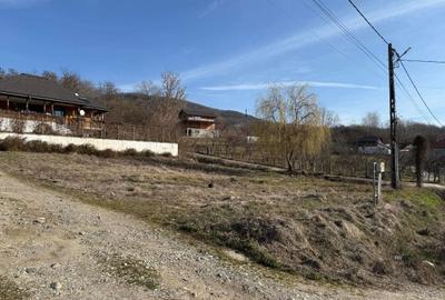 Spațiu comercial, în Vlădești - 5