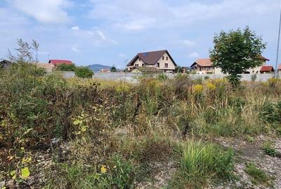Teren de 800 mp, în Hărman - 3