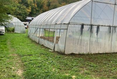 Teren de 1423 mp, în Telega - 1