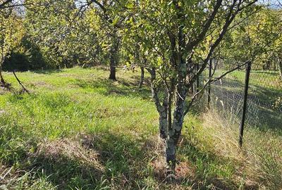 Spațiu comercial, în Central - 7