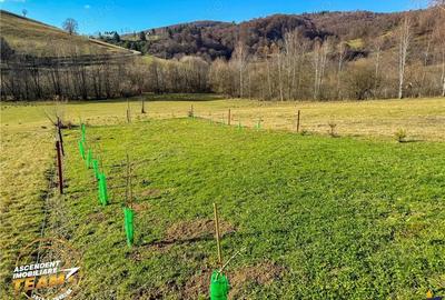 FILM! Teren extravilan 682 mp + rulota, Floroaia, Intorsura Buzaului - 5