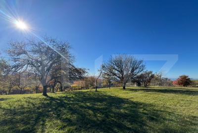 Teren extravilan 2000mp in Tarsa - 3