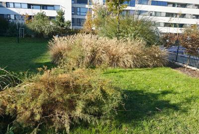 Apartament nou, mobilat si utilat complet, finisaje premium, sos Chitilei, 3 cam - 2