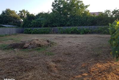 Spațiu comercial, în Nord - 6