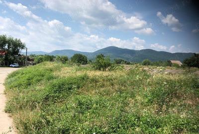 Teren de 5470 mp, în Ciritei - 2