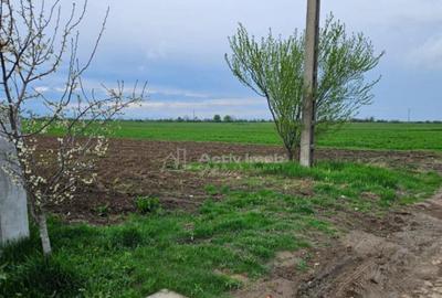 Teren de 4500 mp, în Ariceștii Rahtivani - 3