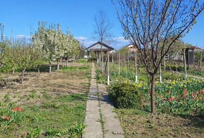 Spațiu comercial, în Golești - 3