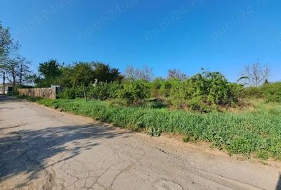 Teren de 2607 mp, în Vișan - 2