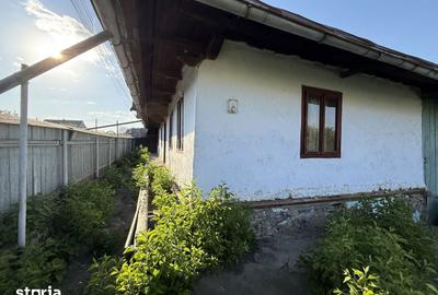 Casă cu 3 camere cu Teren 3200 Mp în Brusturi - 2