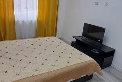 Apartament cu 2 camere decomandat în Lunca Cetățuii - 2