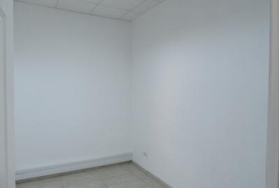 Inchiriere Spatiu Comercial Teiul Doamnei - 12
