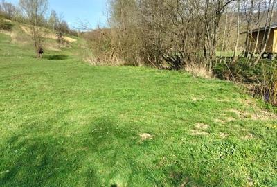 Spațiu comercial, în Șinca - 5