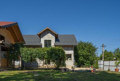 Casa de Maneciu Pamanteni, singur curte - 4