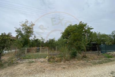 Teren 3000mp intravilan in Mavrodolu, AG - 5