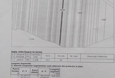 Casă cu 4 camere cu Teren 2752 Mp în Traian - 5