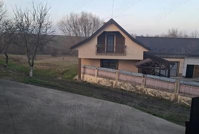 Vand casa Botosanita Mica - 1