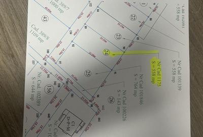 Spațiu comercial, în Cristian