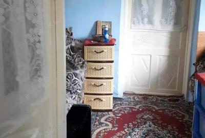 Casă cu 4 camere cu Teren 1122 Mp în Chetrești - 9