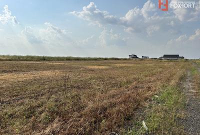 Teren Construcții intravilan de 700 mp, în Sânandrei - 3