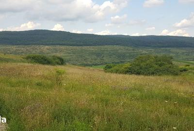 Teren de 1000 mp, în Baciu