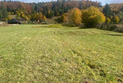 Teren de 4100 mp, în Periferie - 1