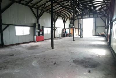 Spațiu comercial, de 500 mp, în Săbăoani - 3