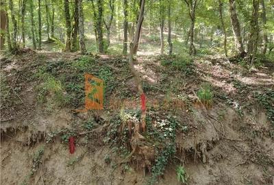 Teren de 1000 mp, în Merei - 9