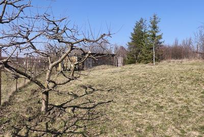 Spațiu comercial, în Dâmbul Rotund - 5