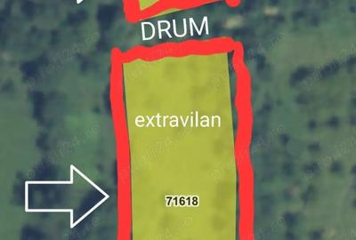 Teren de 2096 mp, în Vârfuri - 7