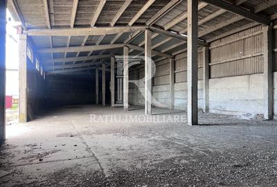 Spațiu industrial, de 3,033 mp, în Iosia
