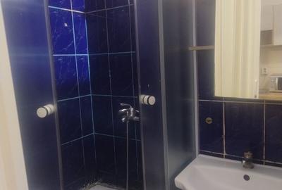 Garsonieră semidecomandată în Buziașului - 8