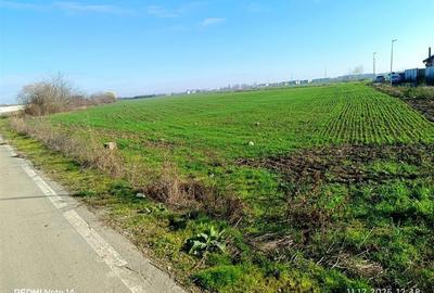 Teren extravilan 3759mp / fs 82ml / Otopeni / Drumul Garii - 6