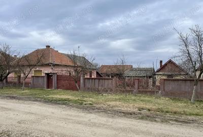 Casă în Sălard - 4