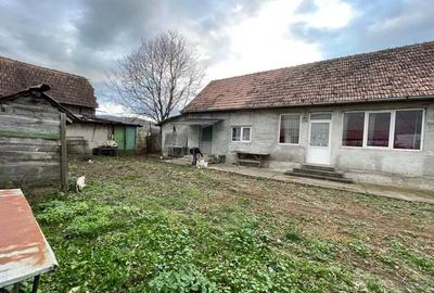 Casă cu 3 camere cu Teren 2700 Mp în Central - 2