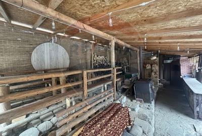 Casă cu 7 camere cu Teren 3485 Mp în Provița de Jos - 7