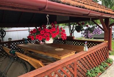 Casa si teren in zona Zizin   Comison standard - 4