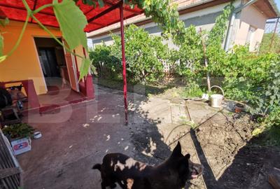 Casa renovabila, 2 camere, zona Cetate - 2