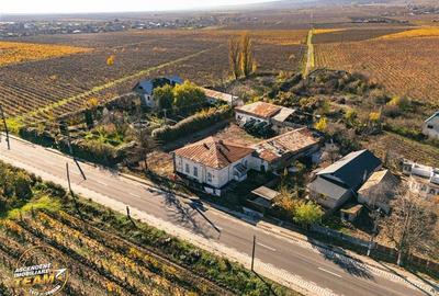 Teren Construcții intravilan de 4000 mp, în Vârteșcoiu - 15