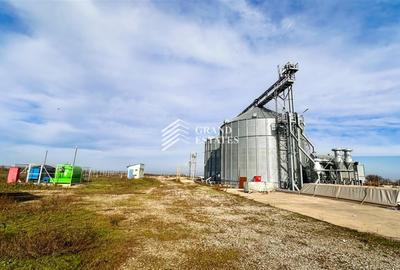 Spațiu industrial, de 20,000 mp, în Luciu - 3