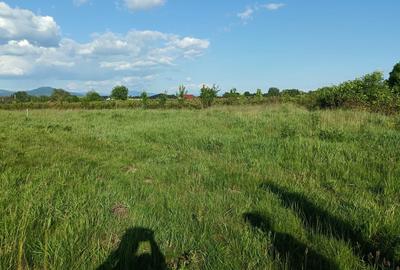 Teren de 5400 mp, în Merișor - 2