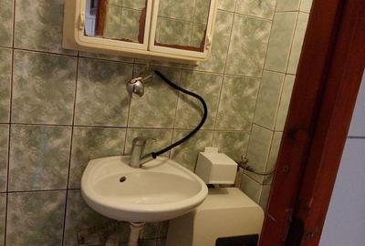 Garsonieră în Badea Cârțan - 4