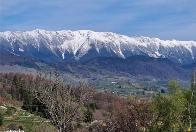 Teren de 6966 mp, în Fundata - 12