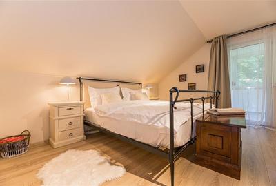 Vila Exclusivista Drumul Poienii / Pretabil Regim Hotelier - 33