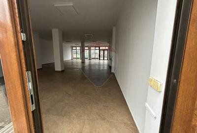 Spatiu comercial de 200mp de inchiriat in zona Vasile Alecsandri - 11