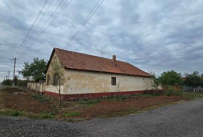 Casa individuala cu teren generos în zona liniștită - 2