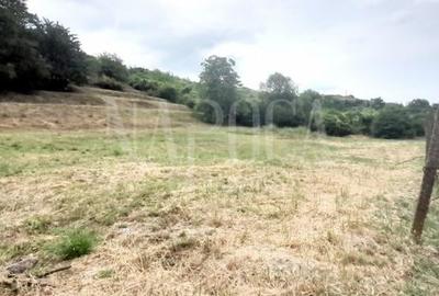 Teren intravilan pentru constructii de vanzare in Gheorghe Doja Oradea, Oradea - 3