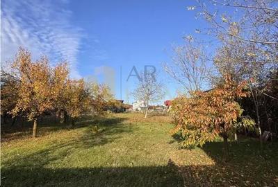 Teren de 1378 mp, în Păulești - 4
